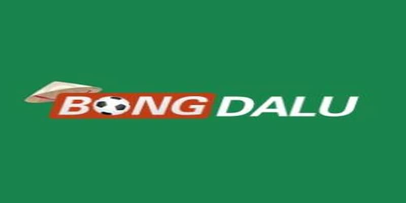 Vai trò quan trọng của bongdalu